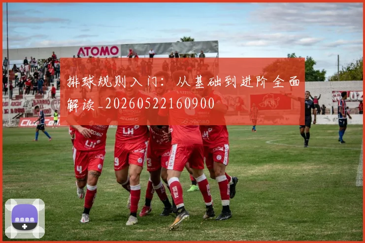 排球规则入门:从基础到进阶全面解读_20260522160900