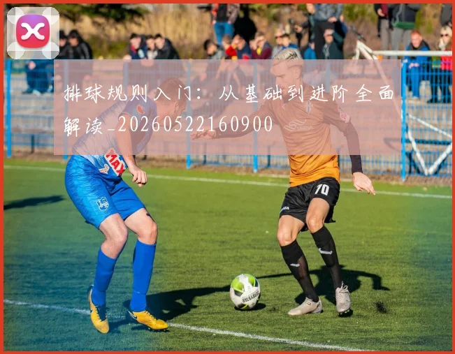 排球规则入门:从基础到进阶全面解读_20260522160900